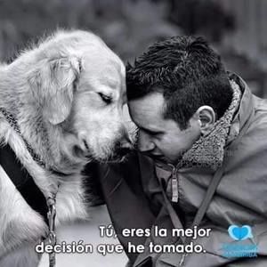 Meet your Posher, Charrango